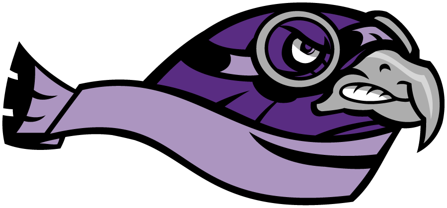 Stonehill Skyhawks 2005-2012 Secondary Logo diy DTF decal sticker